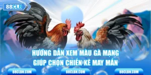 Hướng Dẫn Xem Màu Gà Mạng Giúp Chọn Chiến Kê May Mắn
